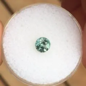 0.75 CT BLUE GREEN MONTANA SAPPHIRE