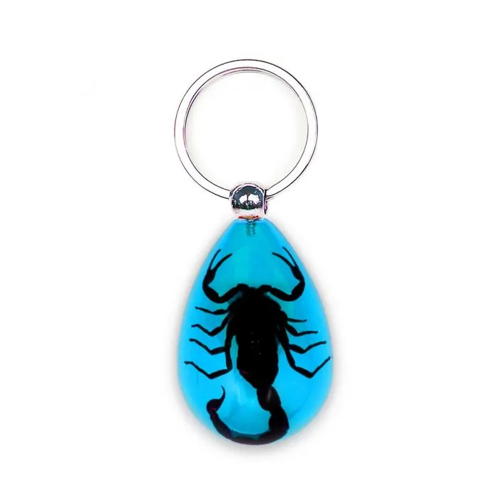 Key Color Scorpion Blue