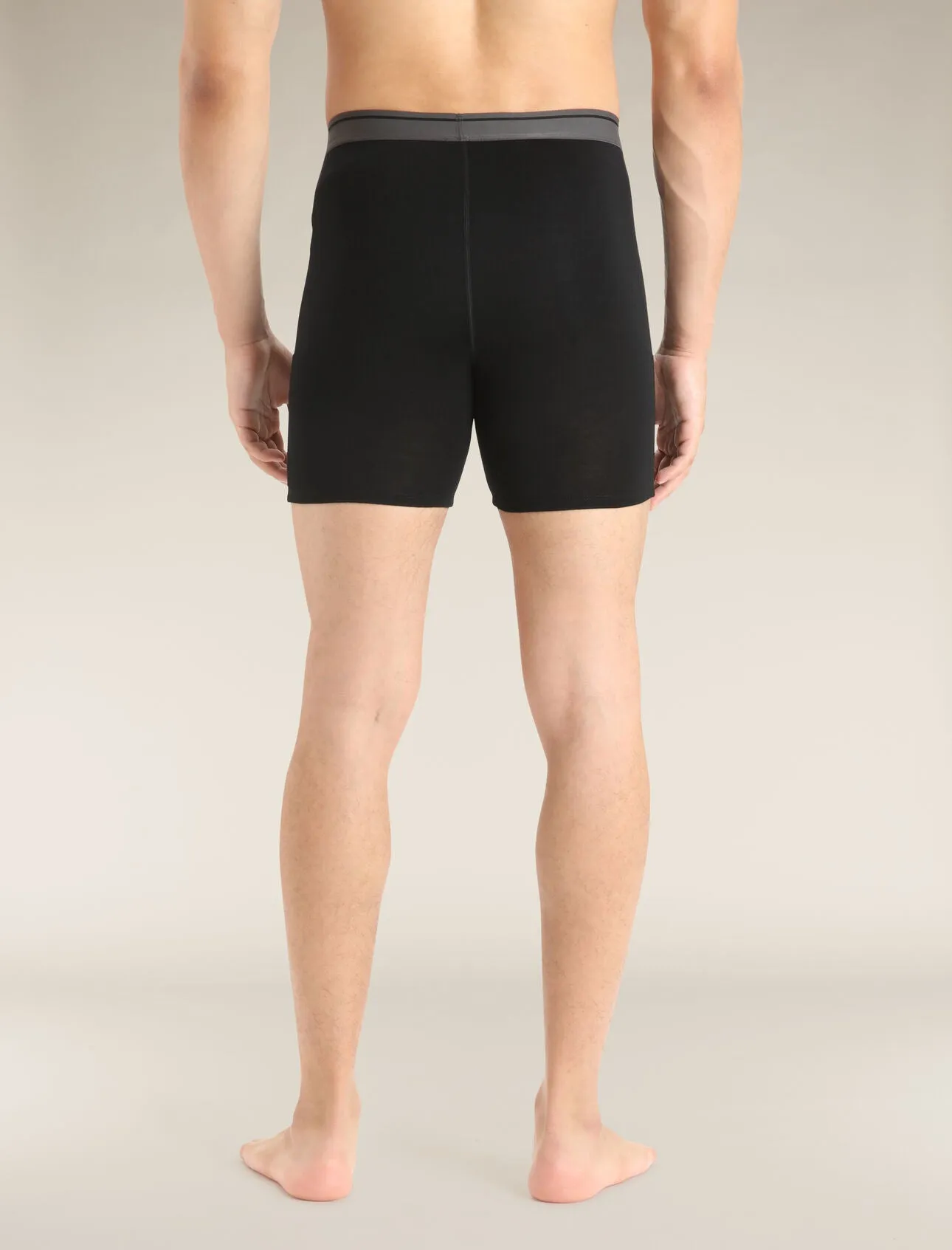 Merino 150 Anatomica Long Boxers (Men's)