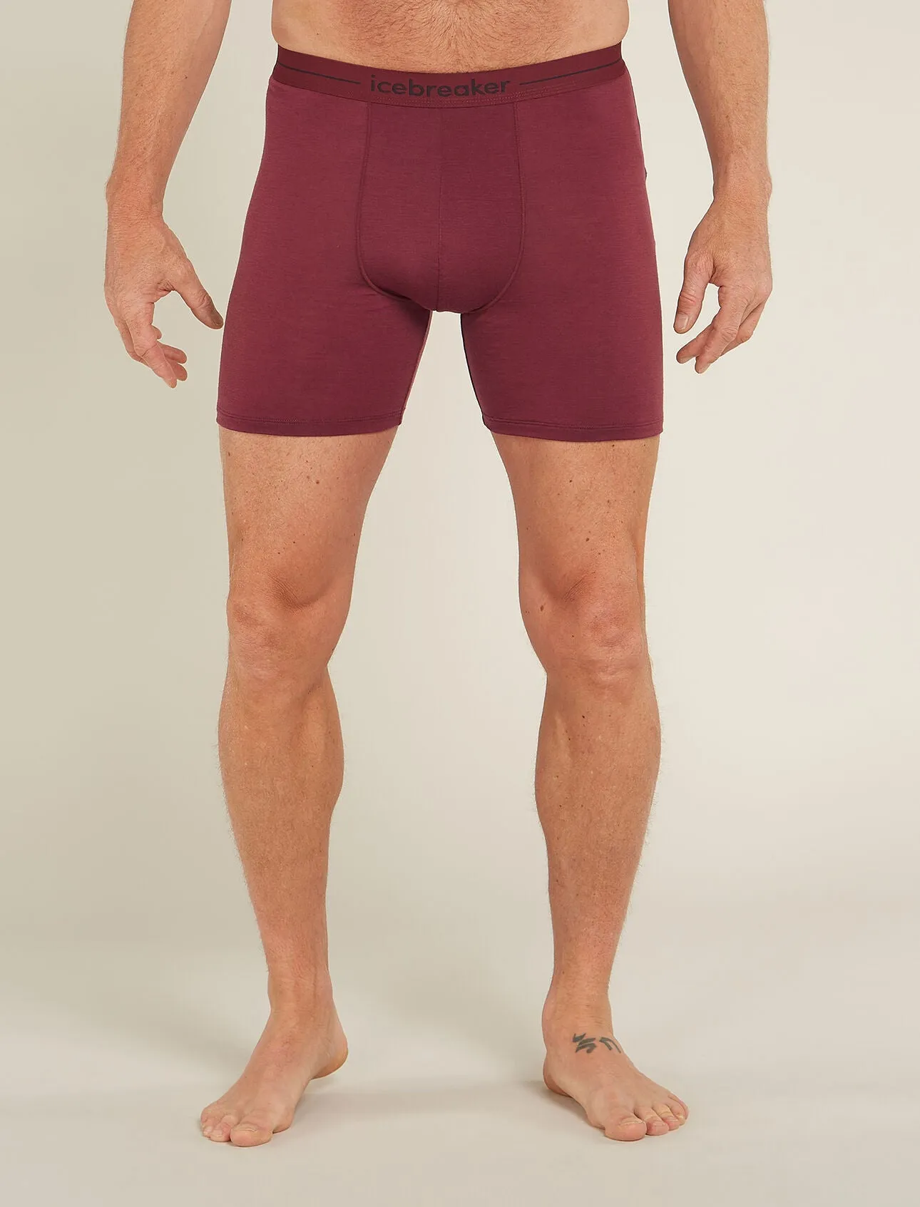 Merino 150 Anatomica Long Boxers (Men's)