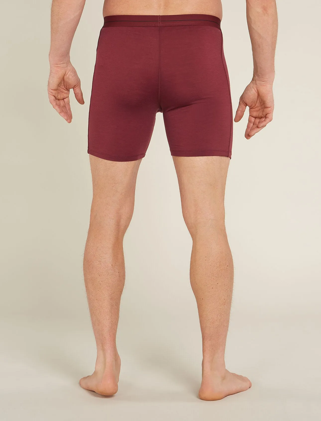 Merino 150 Anatomica Long Boxers (Men's)