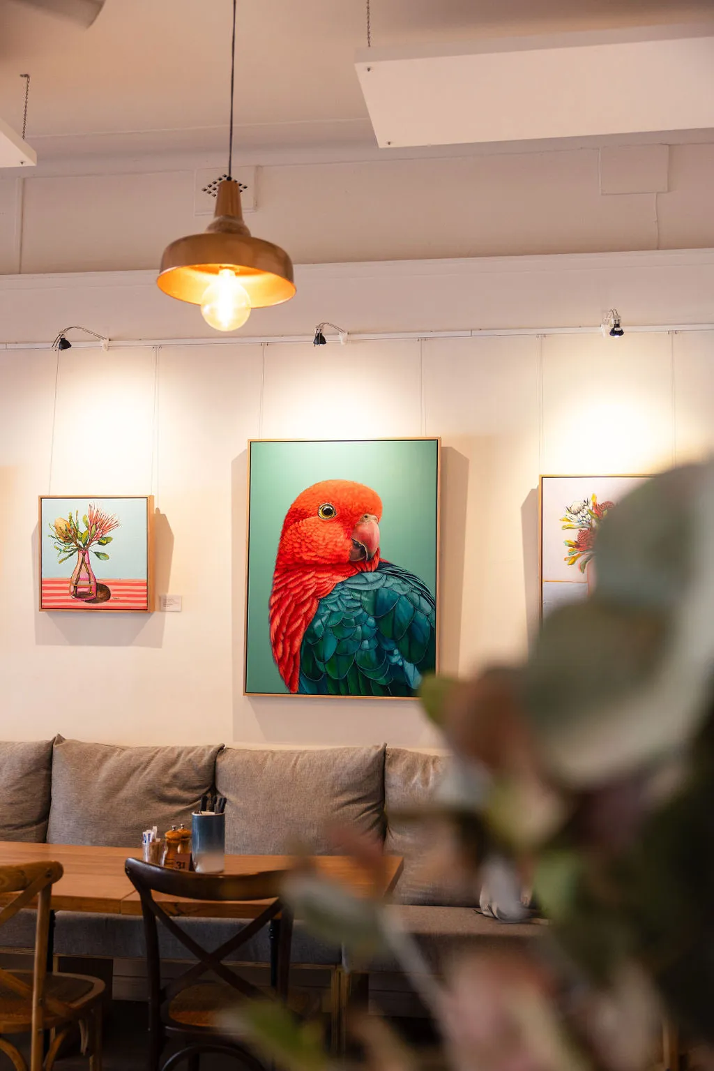 'Red' the King Parrot framed original artwork