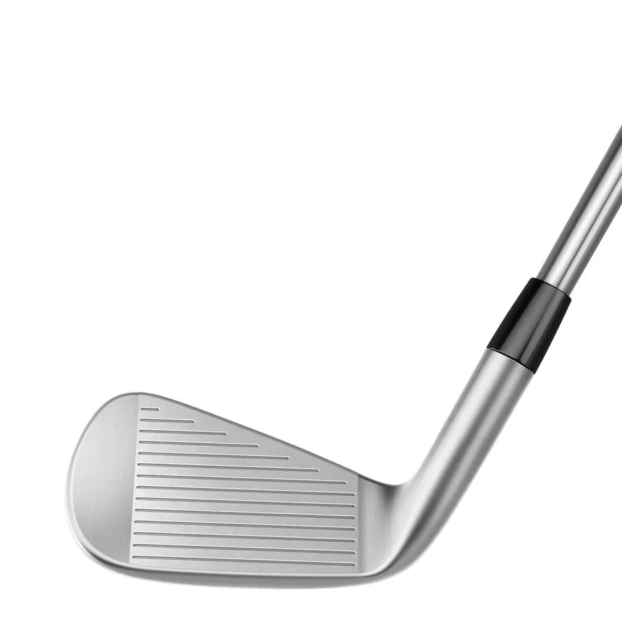 TaylorMade P770 Asian Spec Steel Irons